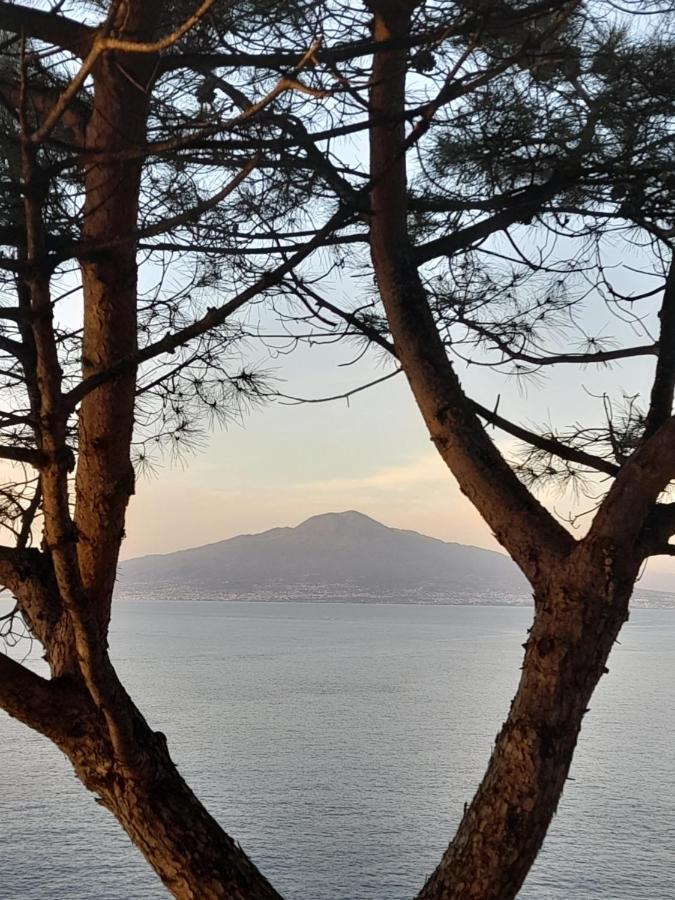 Il Platano Bed & Breakfast Piano di Sorrento Exterior photo
